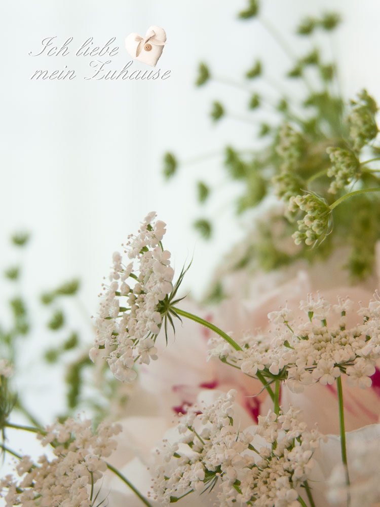 Blog - Rezept im Landhausstil - Feinste Guetzli mit hausgemachter Konfitüre - Bild 8