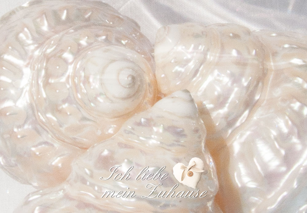 Blog - Seaside-Deko mit Bonbonniere mit Muscheln und Lene Bjerre Bellara Collection Kerzenständern - Bild 4