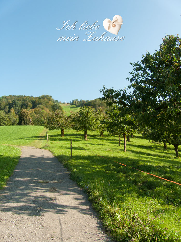 Blog - Herbstfotos in der Natur mit Äpfel - Wiese - Bach - Bild 1