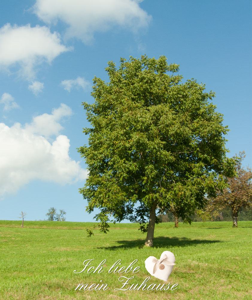 Blog - Mediterrane Herbstimpressionen mit Windlichtern, Muscheln und Kürbissen - Bild 3