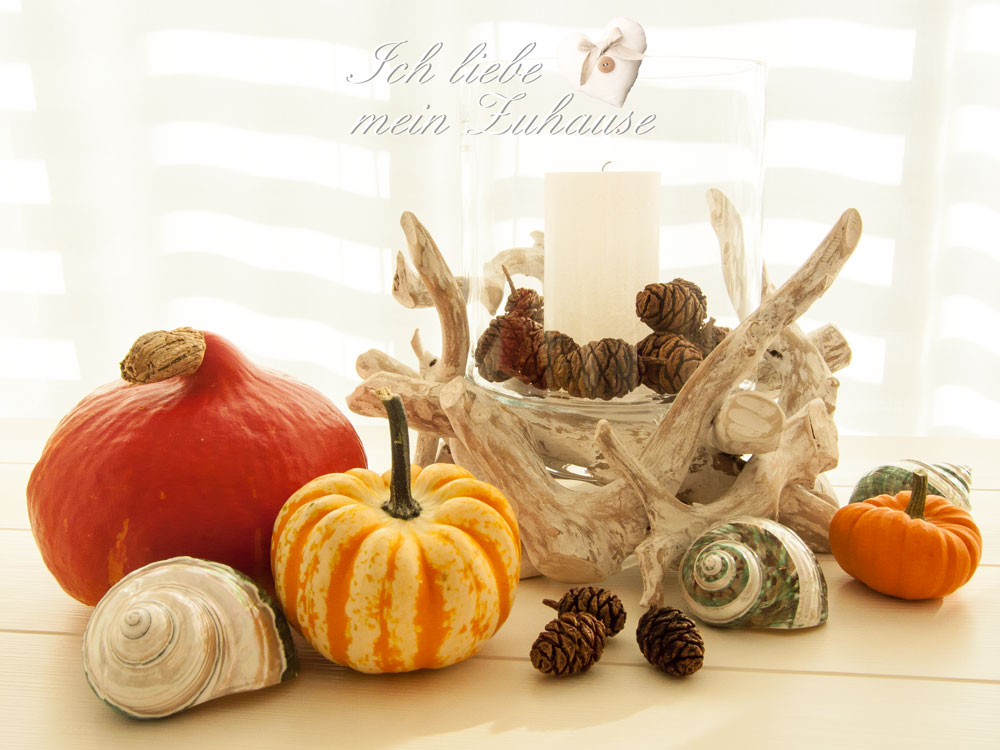 Blog - Mediterrane Herbstimpressionen mit Windlichtern, Muscheln und Kürbissen - Bild 6