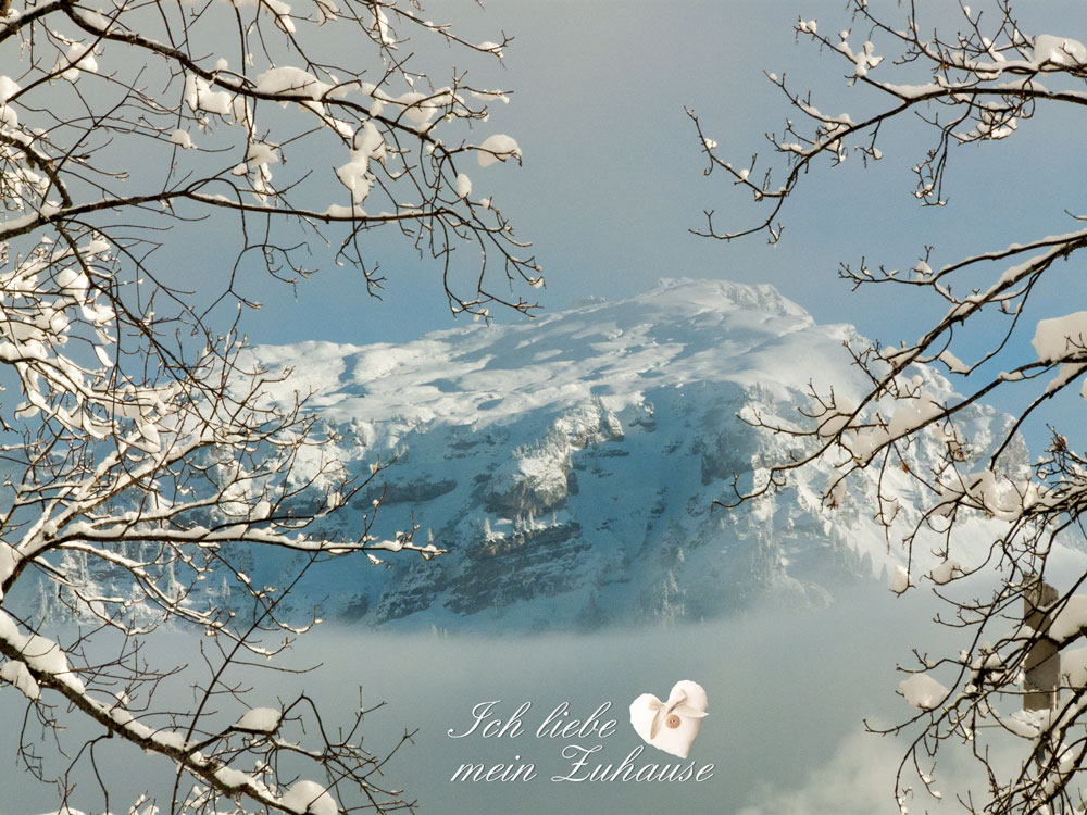 Blog - Dreams from heaven - Himmlische Träume - Januar 2015 - Bild 2