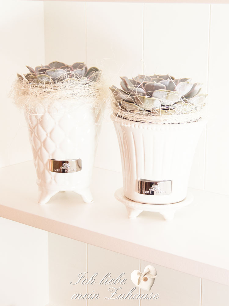 Blog - Köstlicher Rüebli-Cake im Landhausstil - Bild 4