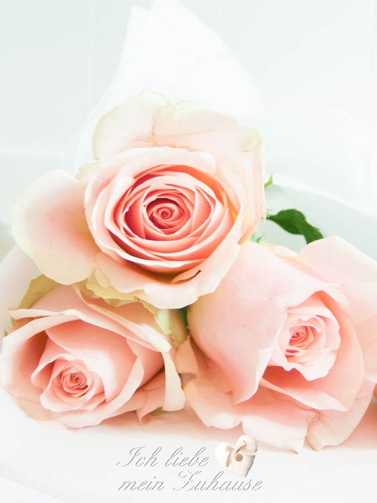 Blog - Köstlicher Rüebli-Cake im Landhausstil - Bild 6