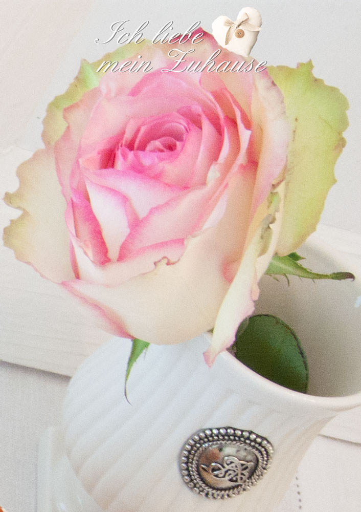 Blog - Zitronencake im Landhausstil - Bild 5