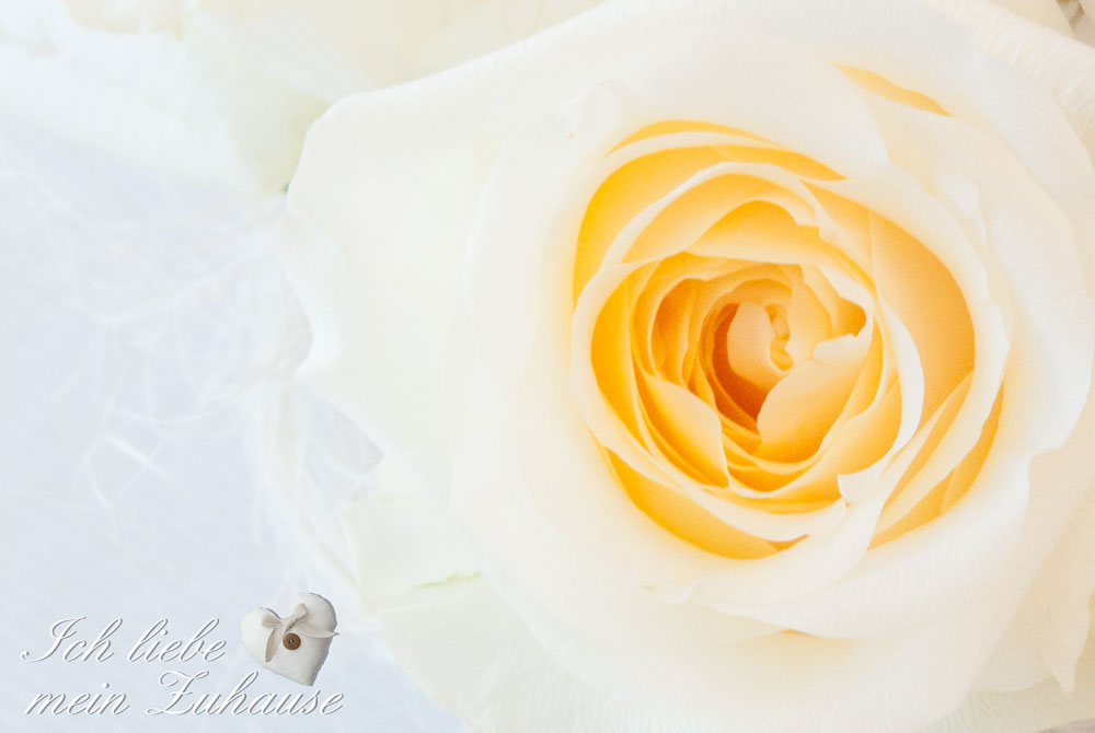 Blog-Eintrag Sonntag im Landhausstil mit Himbeer-Schokotraum Bild 10