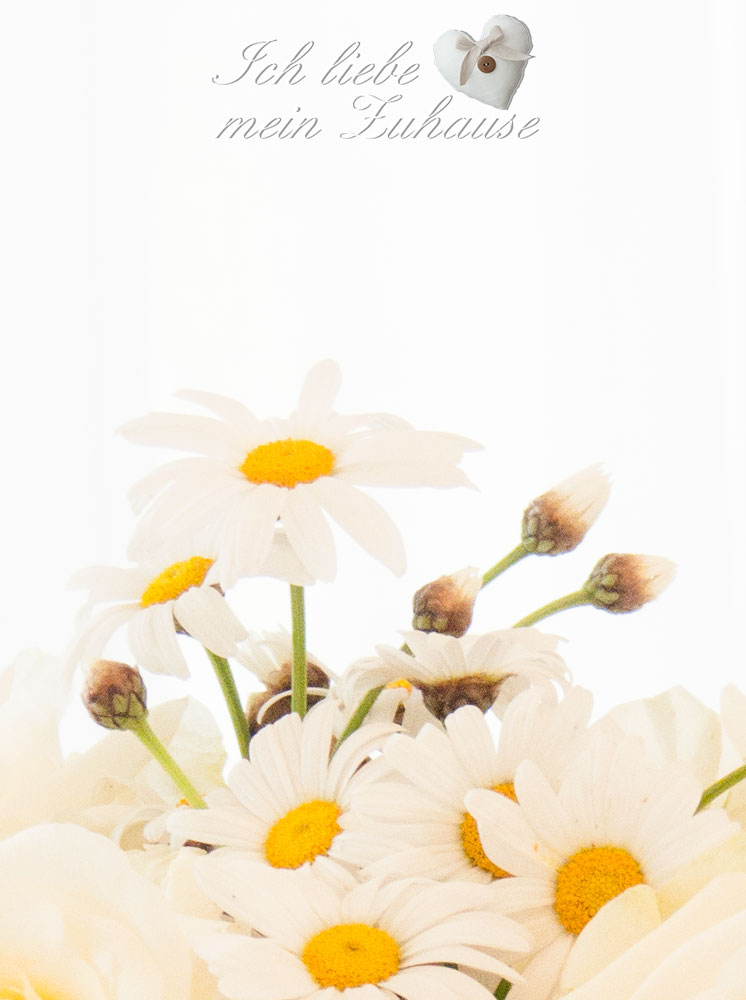 Blog-Eintrag Sonntag im Landhausstil mit Himbeer-Schokotraum Bild 13