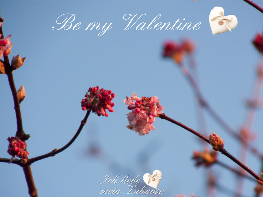 Blog - Be my Valentine - Stimmungsbild 2