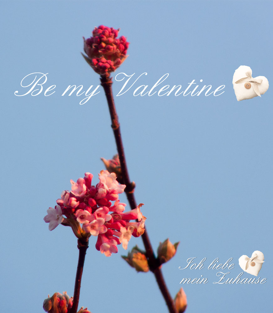 Blog - Be my Valentine - Stimmungsbild 3