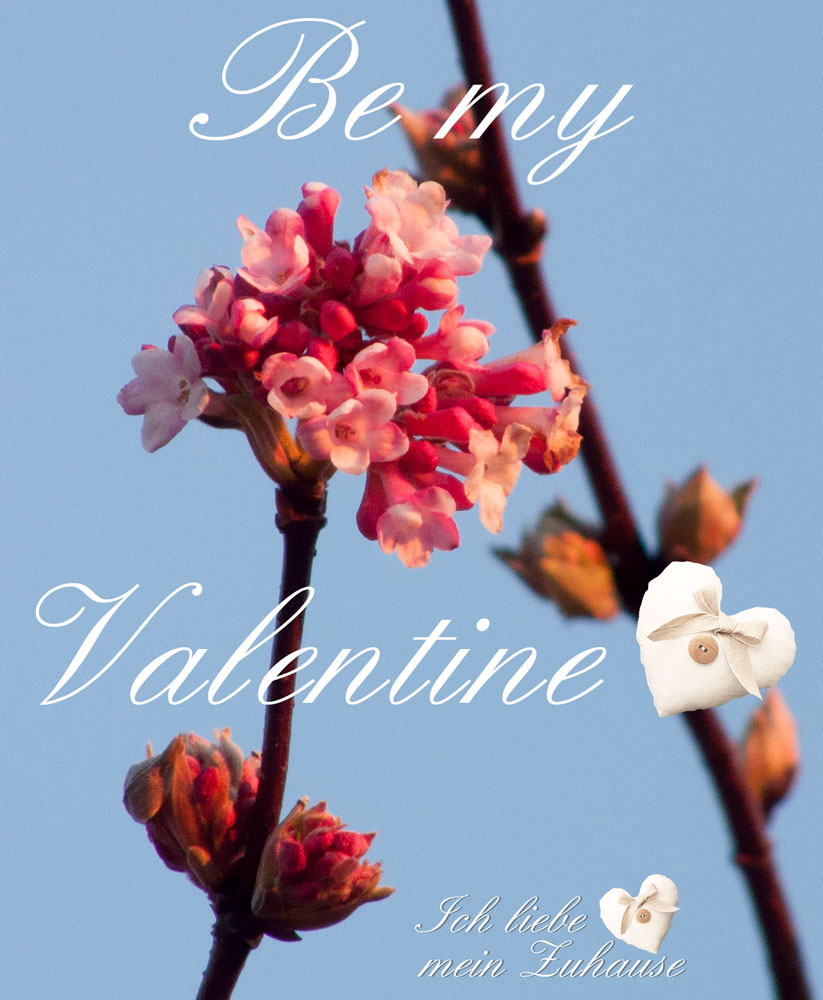 Blog - Be my Valentine - Stimmungsbild 4