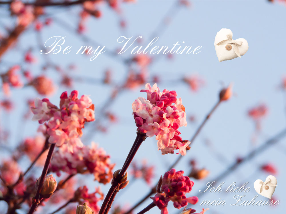 Blog - Be my Valentine - Stimmungsbild 5