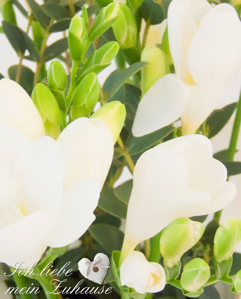 Blog - Design & Ästhetik - Blumen in Porzellankrügen - Bild 3