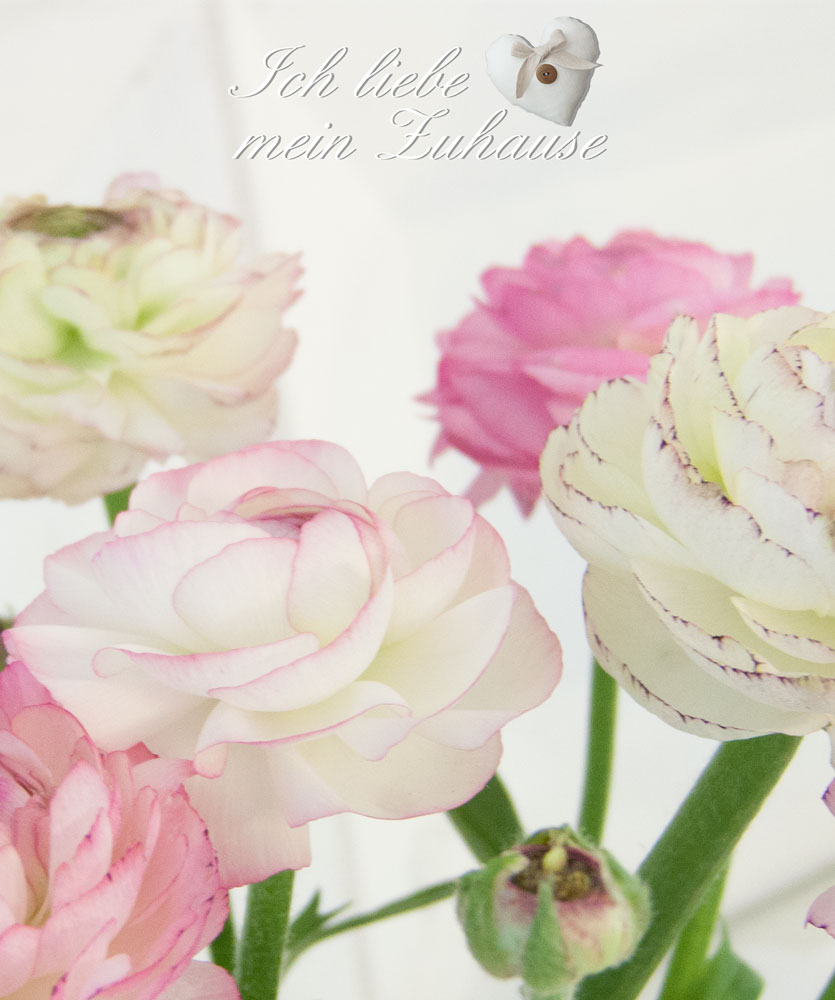 Blog - Design & Ästhetik - Blumen in Porzellankrügen - Bild 5