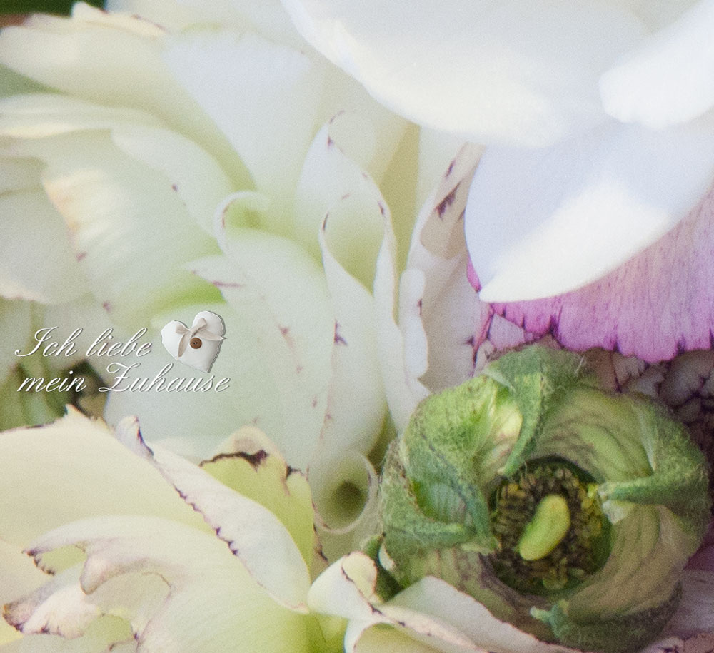 Blog - Überraschung für meinen lieben Mann - Schoggischaum mit Marktblumen - Bild 9