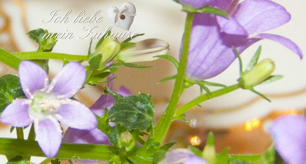 Blog - Suppenschüssel mit Goldverzierung - Bild 10