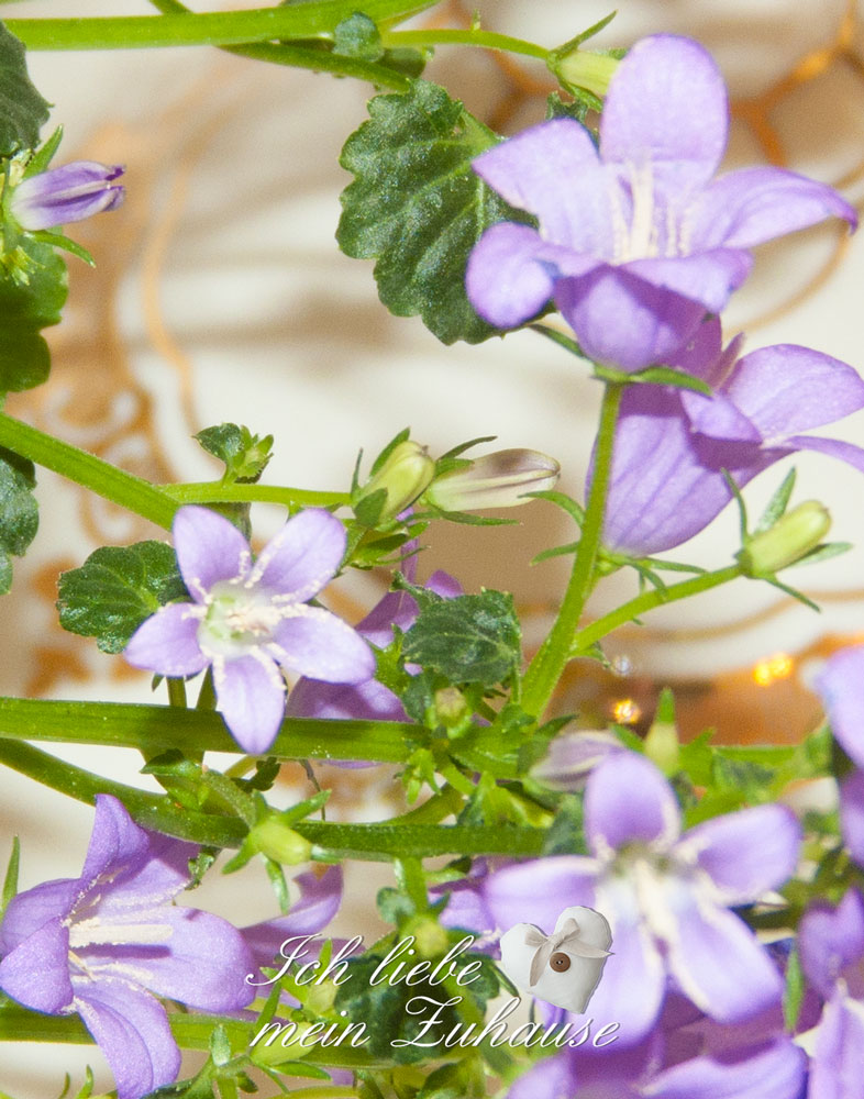 Blog - Suppenschüssel mit Goldverzierung - Bild 11