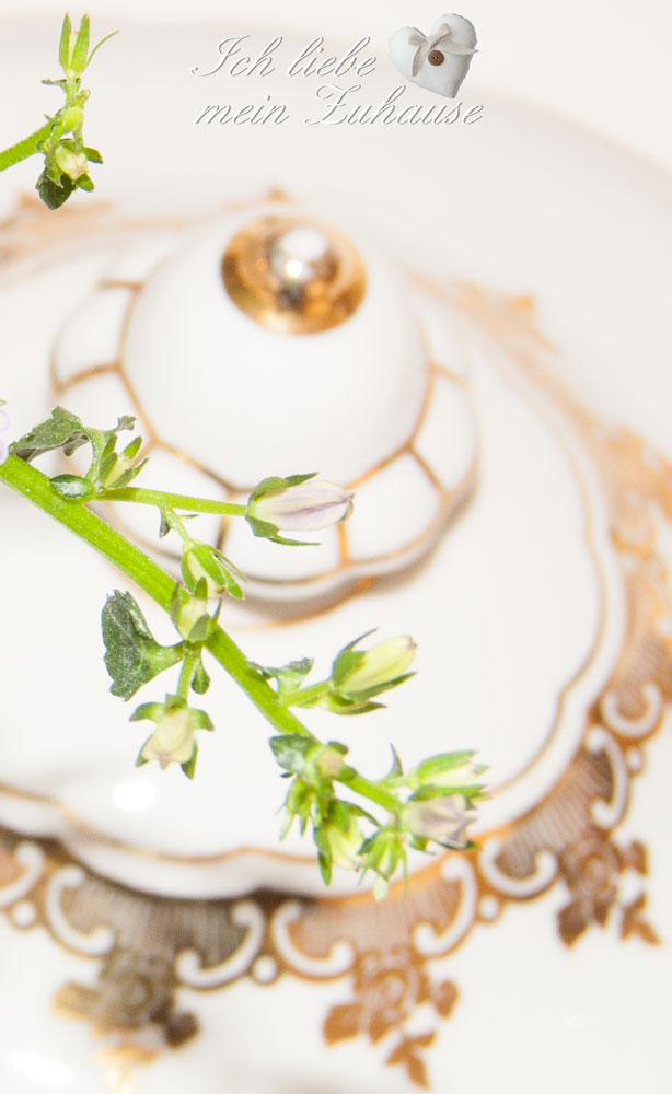 Blog - Suppenschüssel mit Goldverzierung - Bild 13