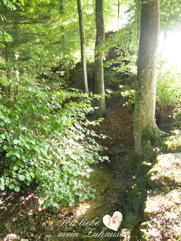 Blog - Herbstfotos in der Natur mit Äpfel - Wiese - Bach - Bild 4