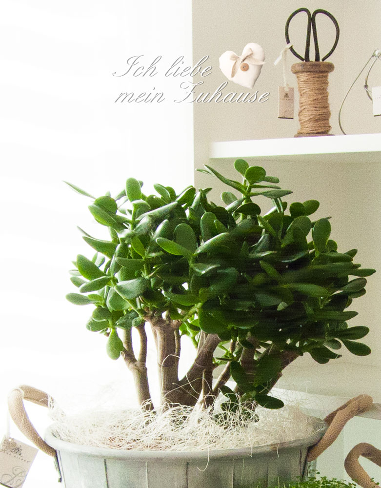 Blog - Gartenglück 2. Teil mit der Lene Bjerre Spring Collection 2015 - Bild 2