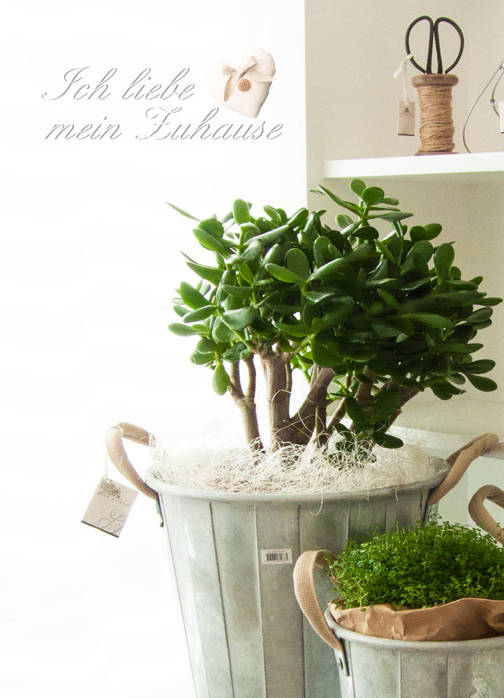 Blog - Gartenglück 2. Teil mit der Lene Bjerre Spring Collection 2015 - Bild 4