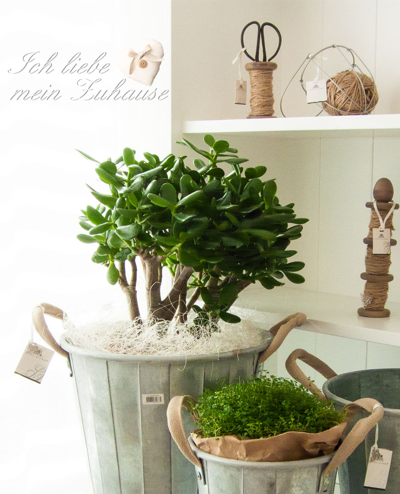 Blog - Gartenglück 2. Teil mit der Lene Bjerre Spring Collection 2015 - Bild 6