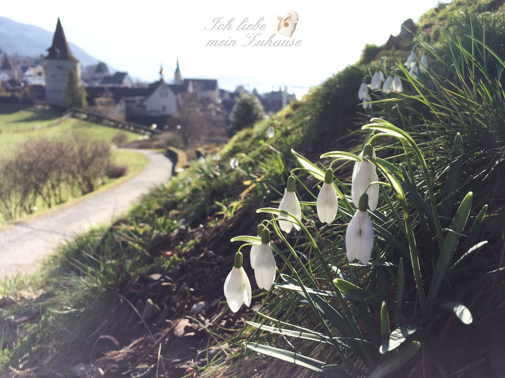 Blog - Frühling im Rosenpark und am See - Bild 1