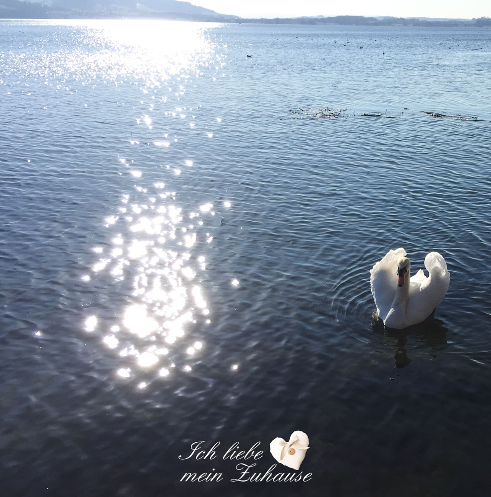 Blog - Frühling im Rosenpark und am See - Bild 2