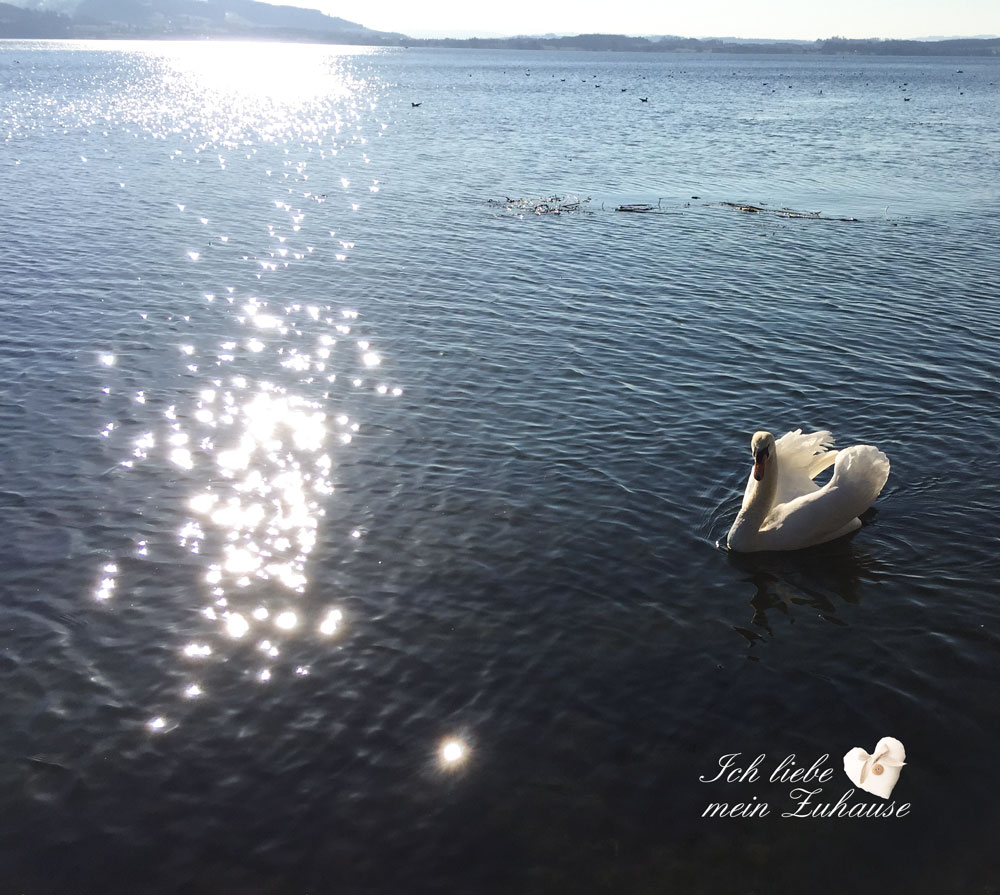 Blog - Frühling im Rosenpark und am See - Bild 5