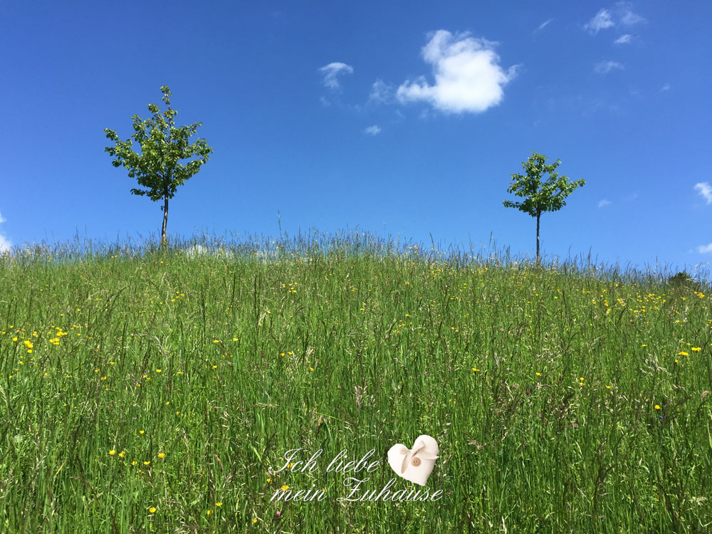 Blog - Frühlingsfotos - Bild 1