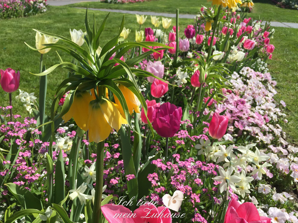 Blog - Frühlingsfotos - Bild 3