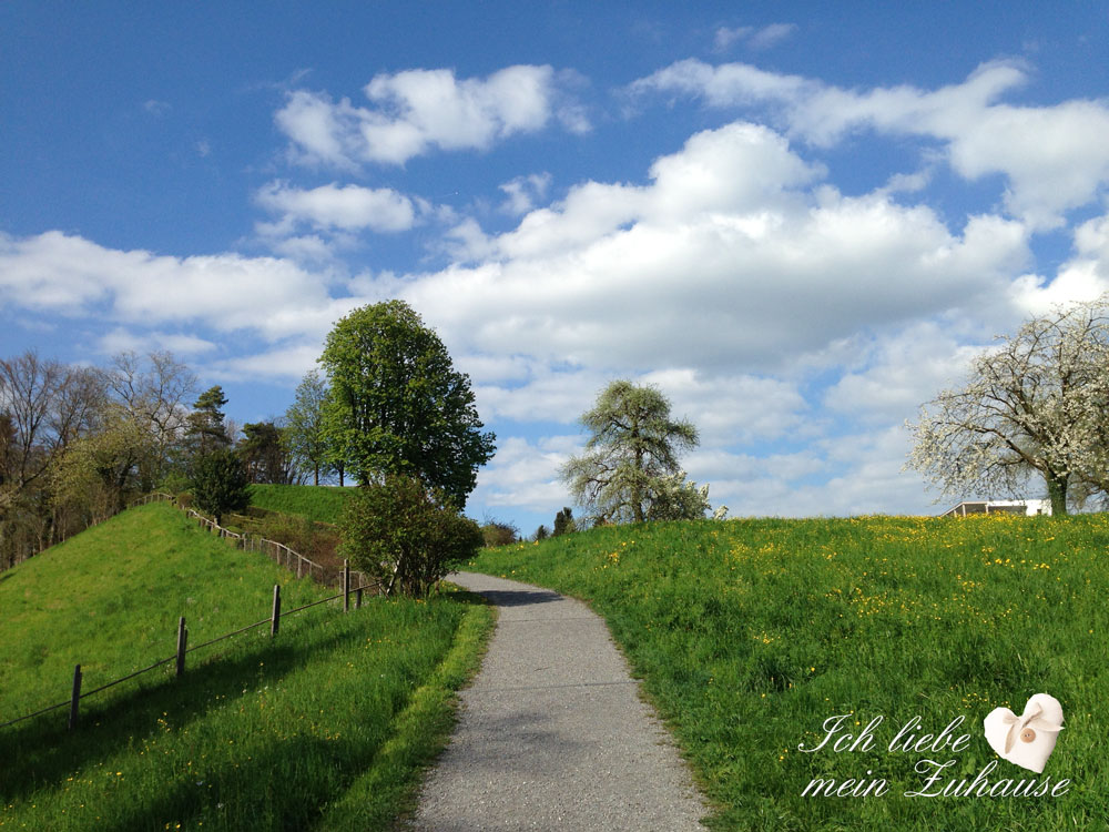 Blog - Frühlingsfotos - Bild 4