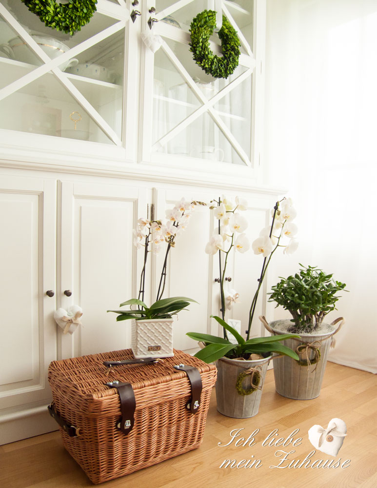 Blog - Lene Bjerre Landhaus-Buffet mit Pflanzen - Bild 1