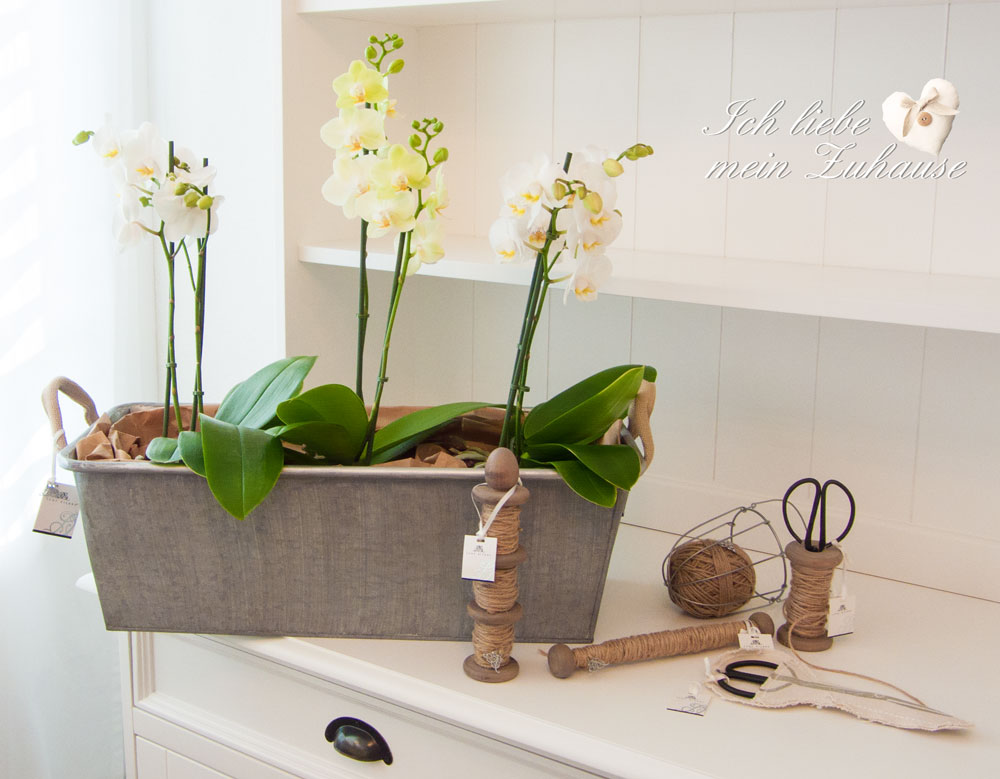 Blog - Kräuter im Sommer in hübschen Zinktöpfen aus der Lene Bjerre Karlina Collection - Bild 1