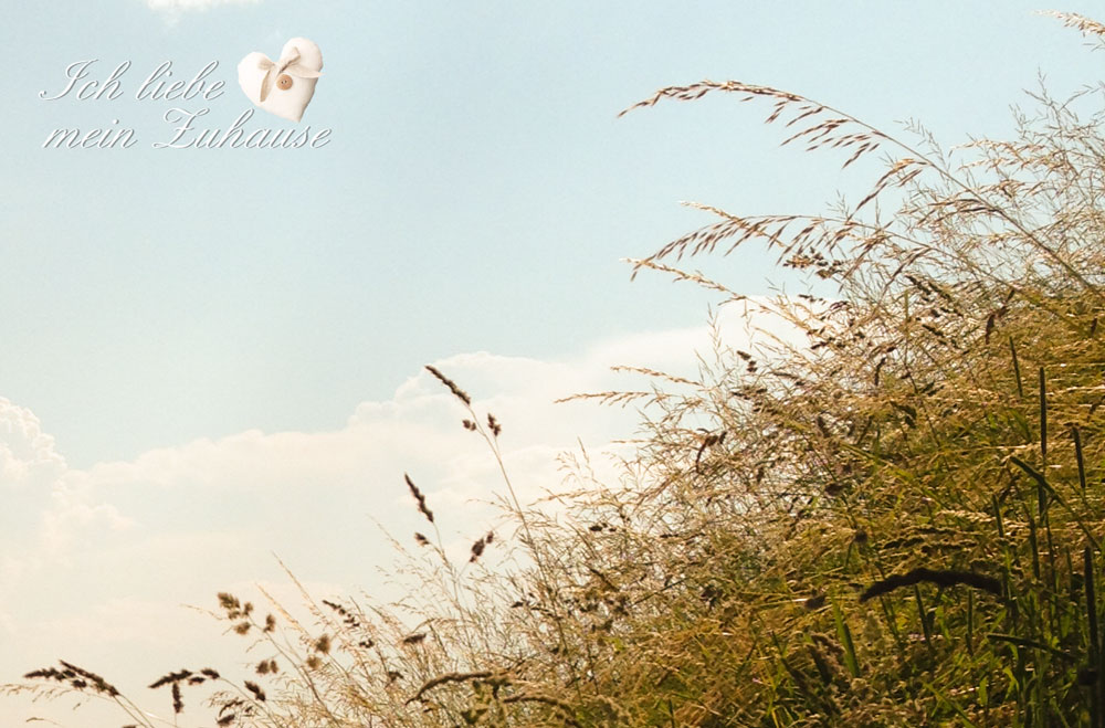 Blog - Sommer-Feeling im Seaside-Stil - Bild 1