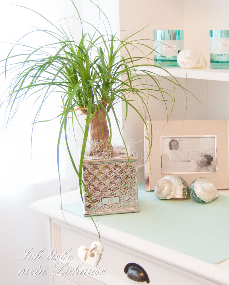 Blog - Wie dekoriere ich Seaside-Feeling Teil 3 - Bild 3