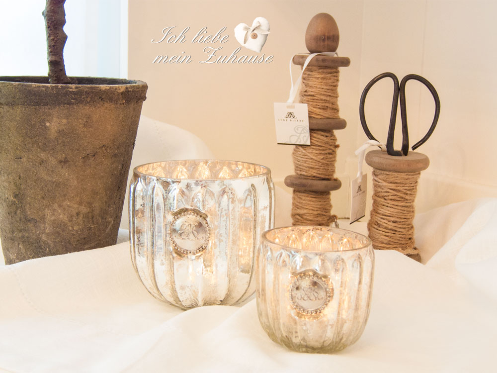 Blog - Ein grüne Oase zuhause mit Lena Biere - Bild 2