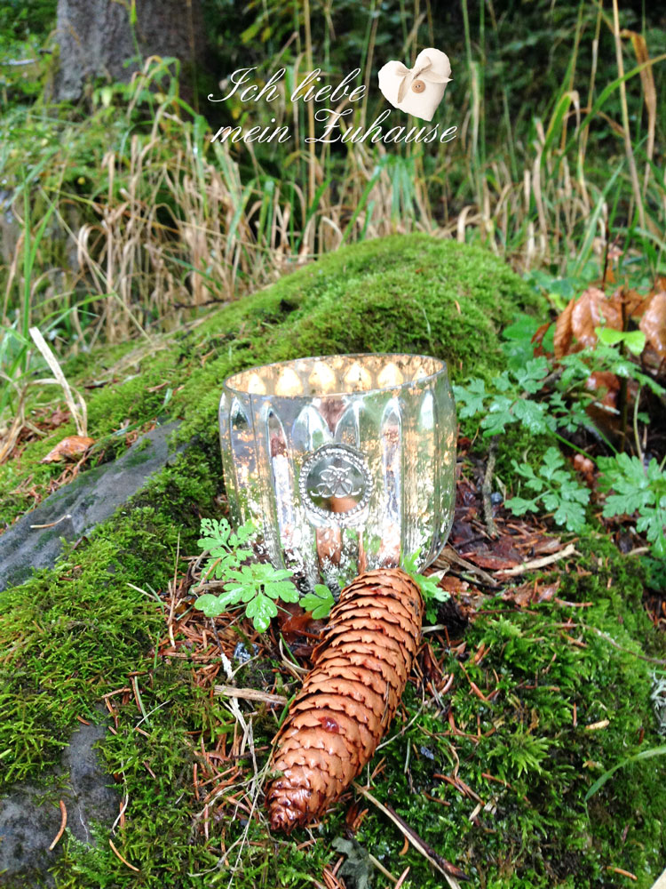 Blog - Herbst-Impressionen im Wald mit Duftkerzen und Teelichter - Bild 2