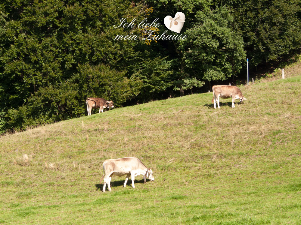 Blog - Idylle auf der Weide im Landhausstil - Bild 1