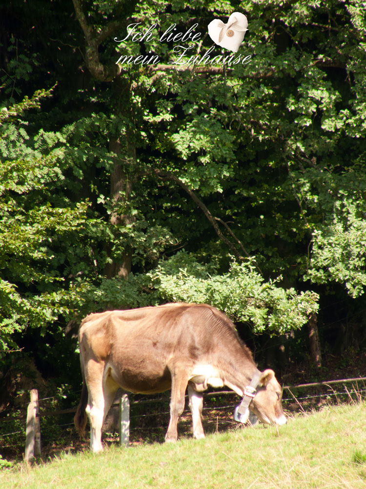 Blog - Idylle auf der Weide im Landhausstil - Bild 2