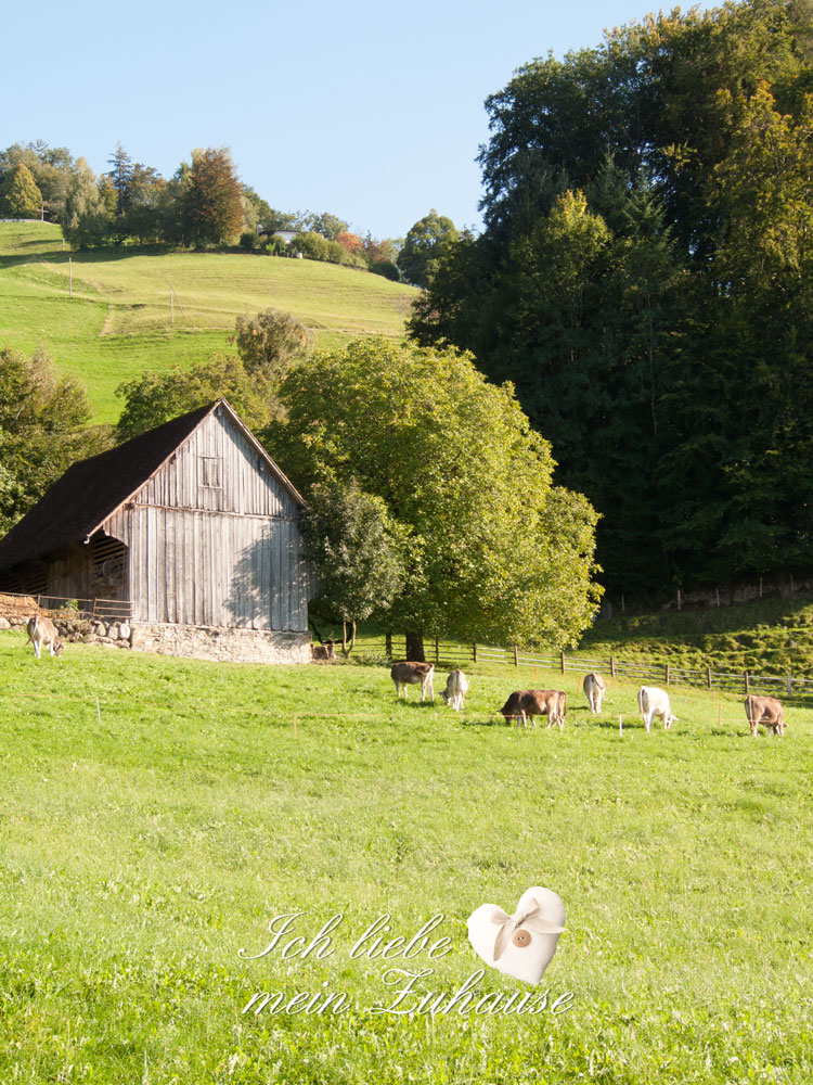 blog schweizer landliebe bild2