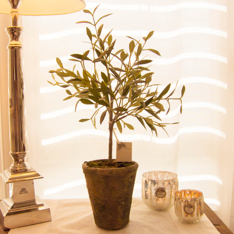 Lene Bjerre – Olivenbaum aus der Flora Collection / 44cm hoch