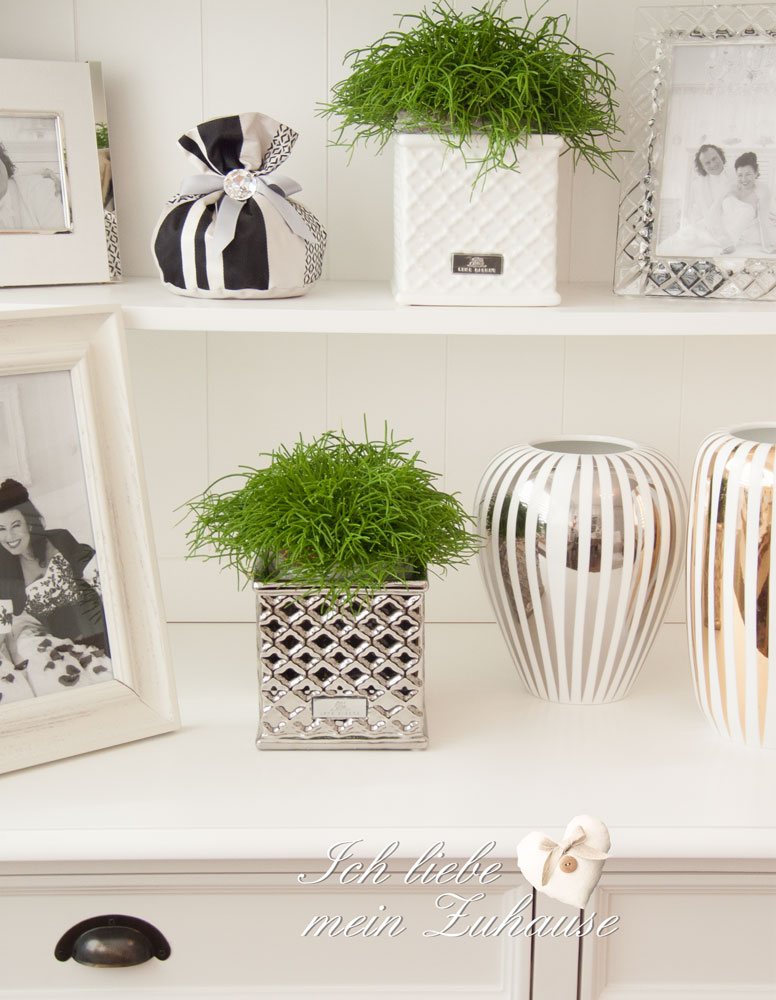 Black & White mit Silber