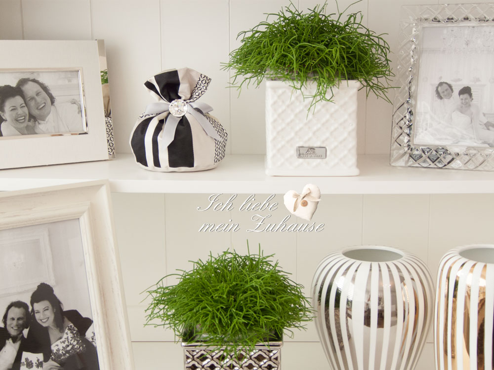 Black & White mit Silber