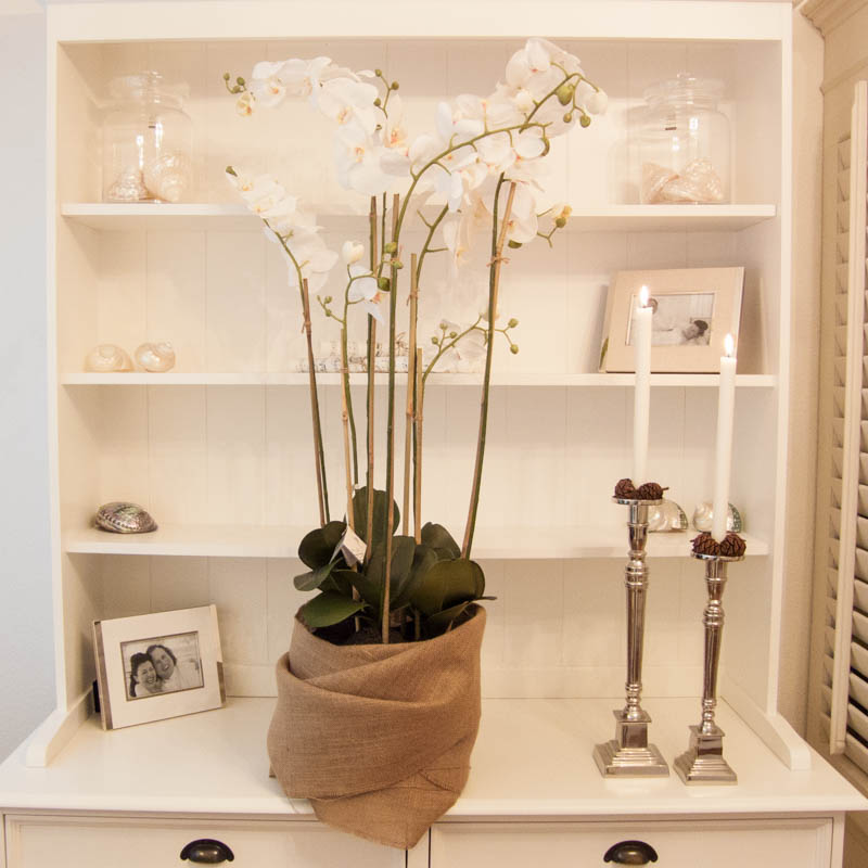 Lene Bjerre - Orchidee large aus der Flora Collection