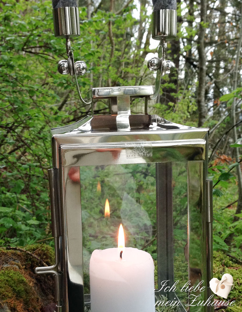 blog-mystischer-waldspaziergang-2