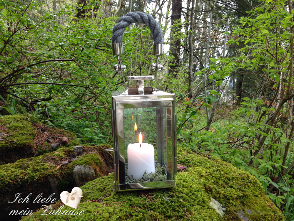 blog-mystischer-waldspaziergang-3