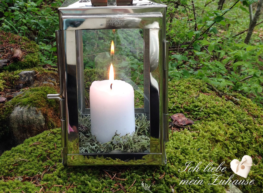 blog-mystischer-waldspaziergang-4