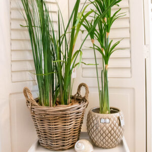 Lene Bjerre - Keramiktopf aus der Rosabelle Collection, large