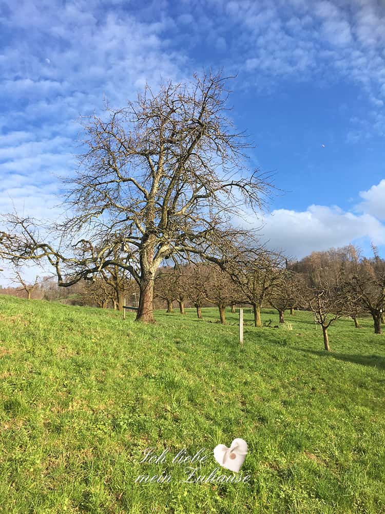 Backen Sie sich glücklich - Im Einklang mit der Natur